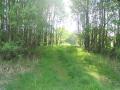 sobinov_084.jpg