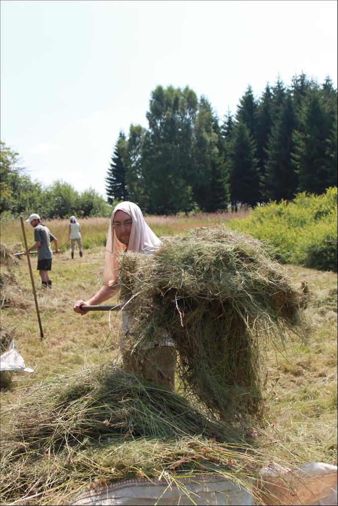 IMG_4655