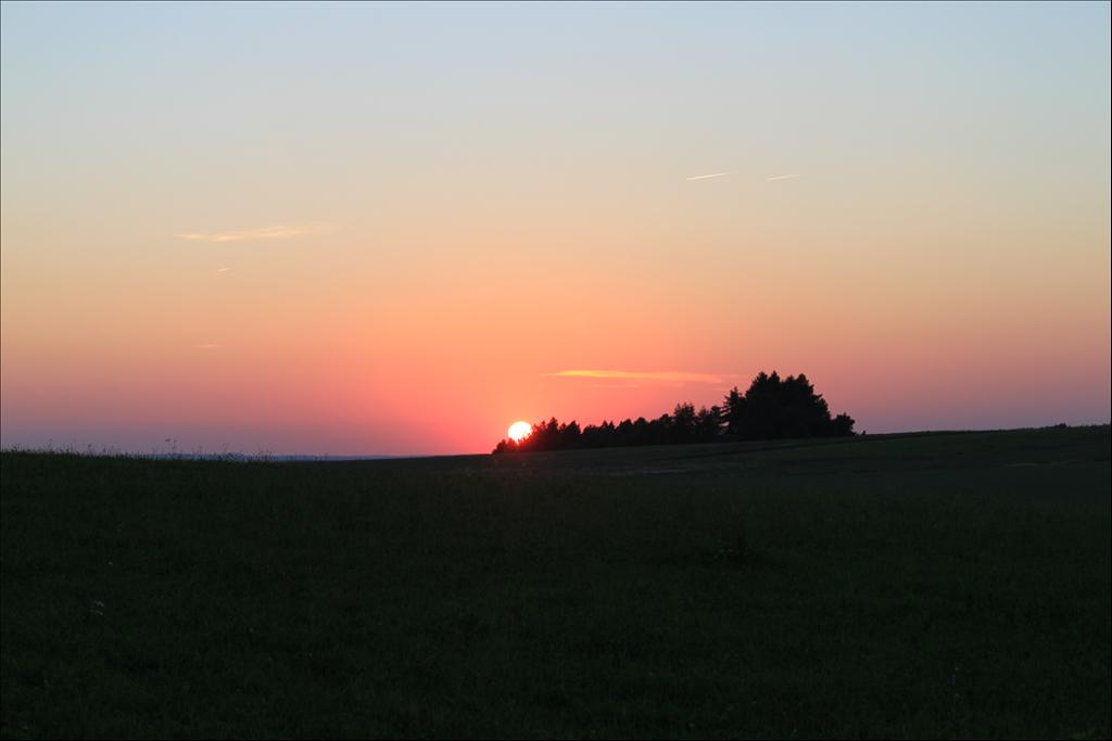 IMG_3874