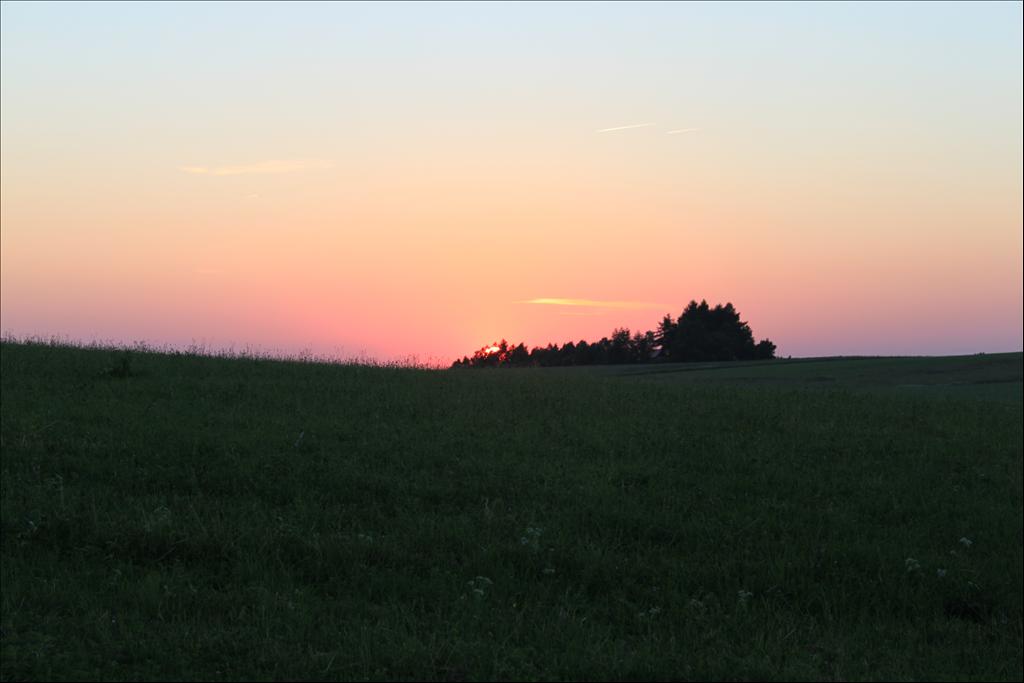 IMG_3875