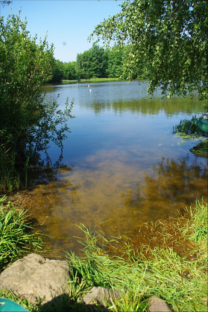 IMGP2435