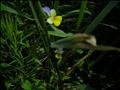 DSCN4281
